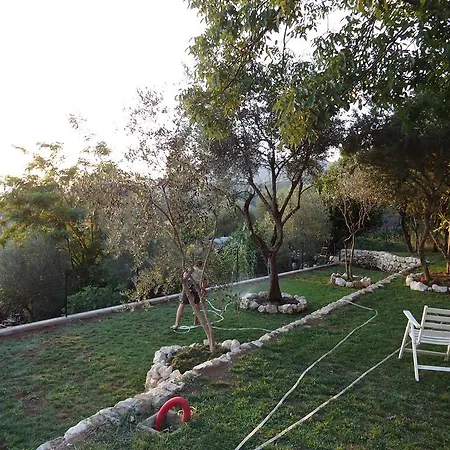 Dianum Degli Ulivi Affittacamere