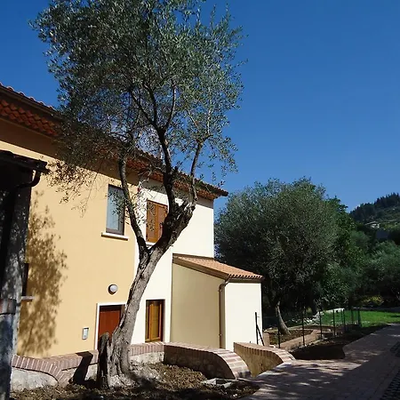 Affittacamere Dianum Degli Ulivi