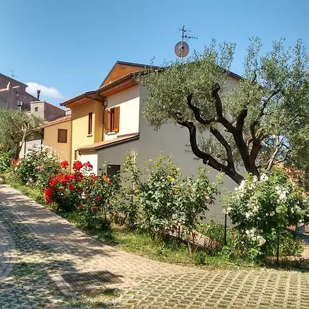 Affittacamere Dianum Degli Ulivi